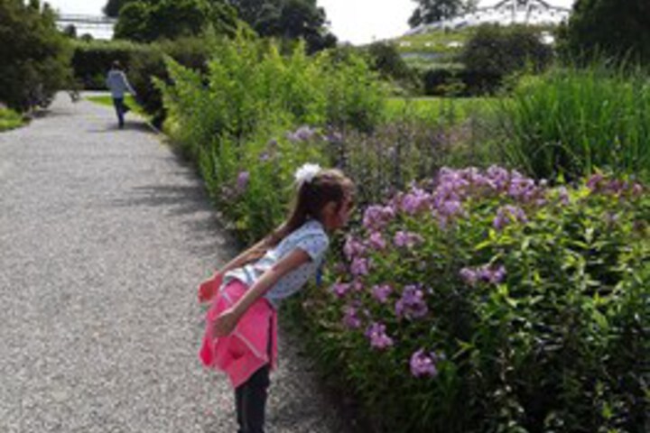 Outdoor Activities 10 of 71