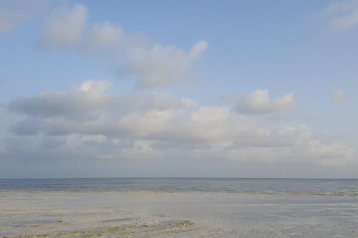 Beach 51 of 66