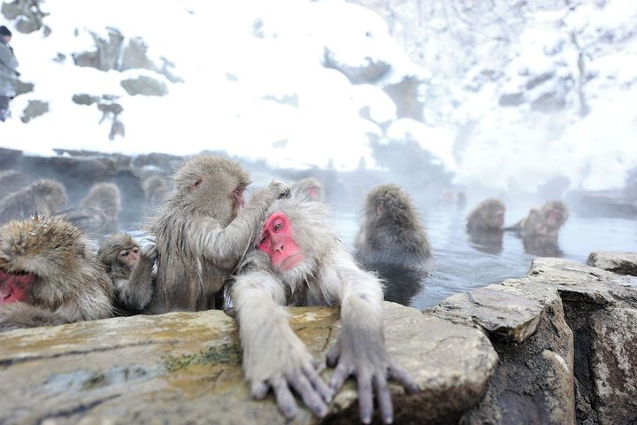 Hot springs