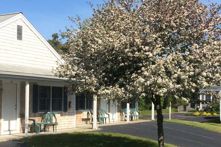 Property Grounds 24 of 30