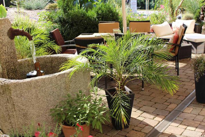 Terrace/Patio 36 of 42