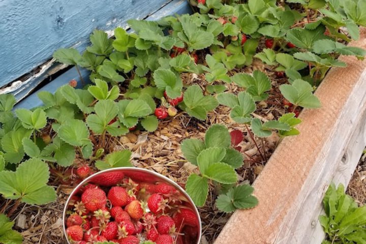 Hotel Exterior 33 of 44