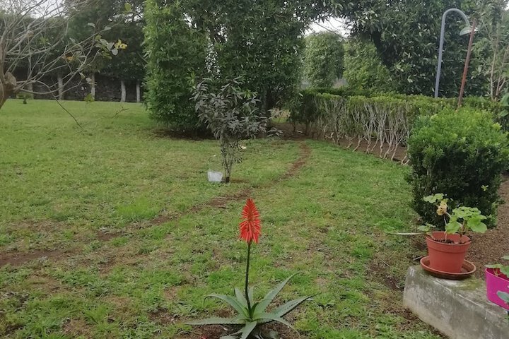 Property Grounds 31 of 44