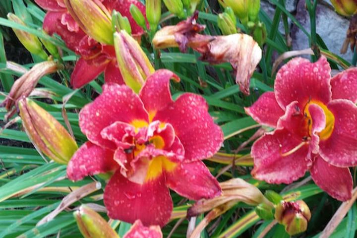 Hotel Exterior 59 of 66