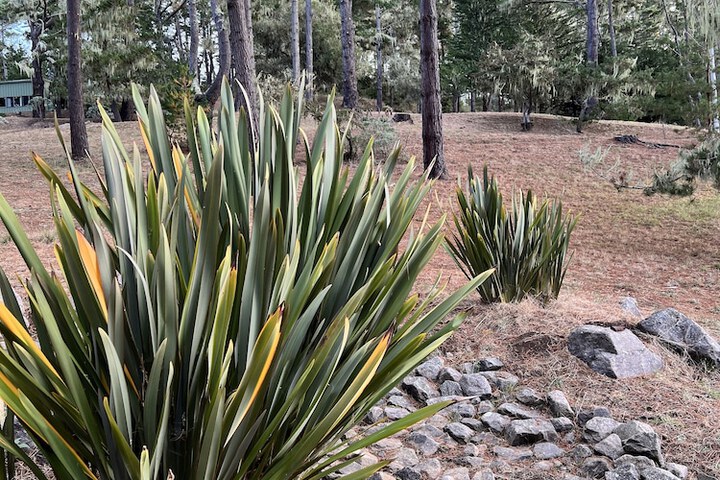 Outdoor Activities 51 of 75