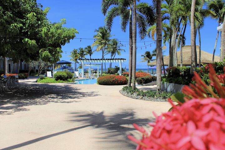 Outdoor wedding area