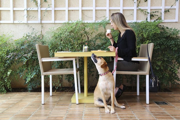 Pet-friendly