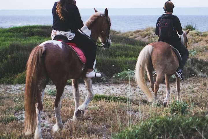 Horseback riding
