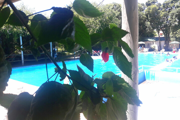 Pool 28 of 75