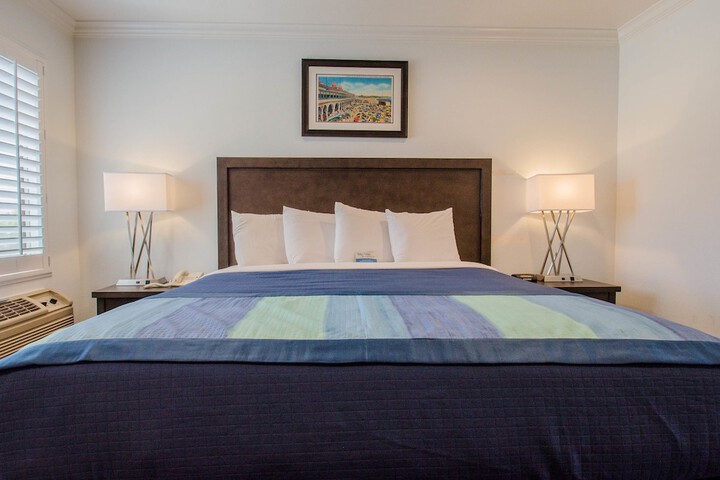 1 King Bed Annex (7 of 15)