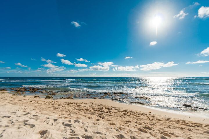 Beach 100 of 107