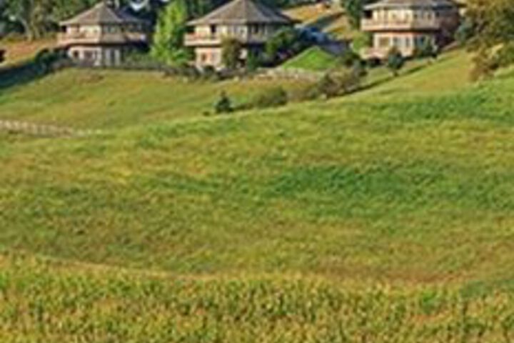 Property Grounds 56 of 58