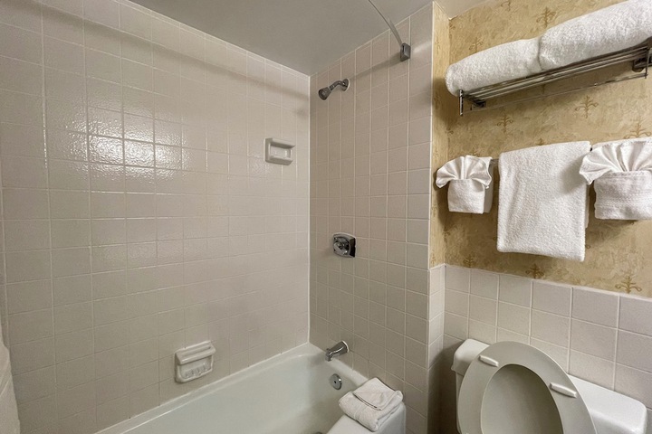 1 Queen Bed Deluxe Room (25 of 32)