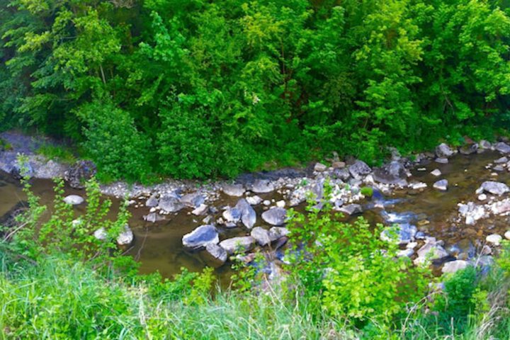 Property Grounds 2 of 12