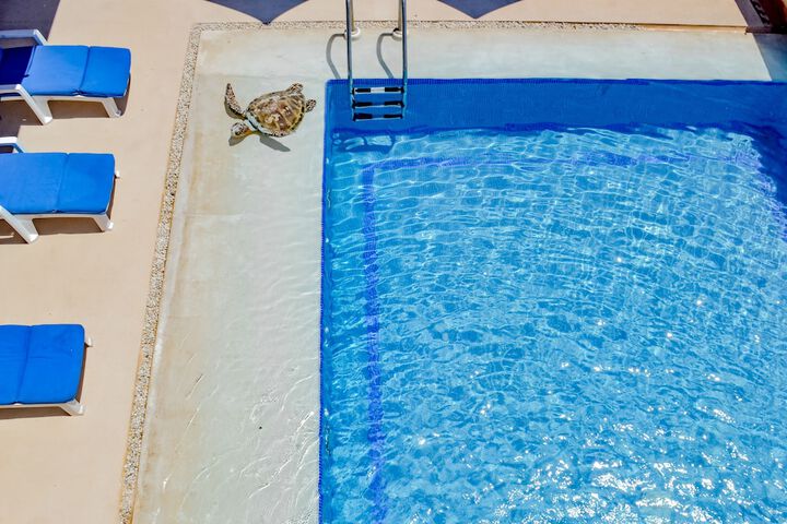 Pool 34 of 48