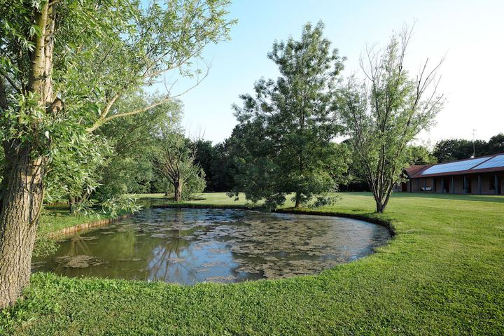 Property Grounds 42 of 51