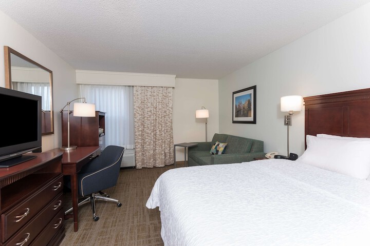 1 King Bed with Sofa Bed and Refrigerator (17 of 17)