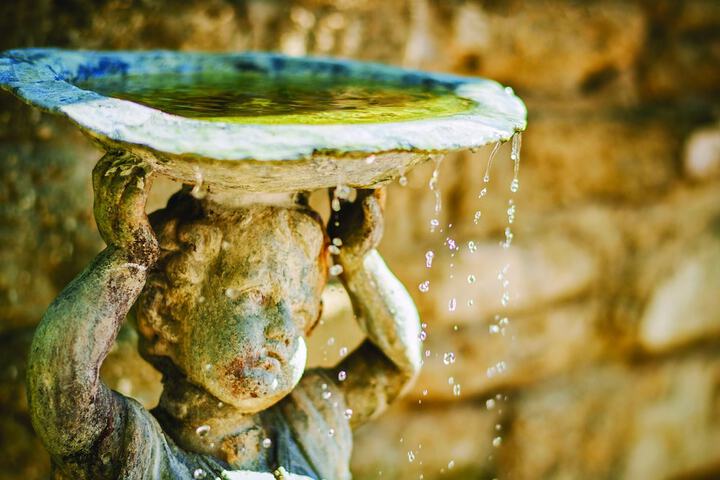 Fountain