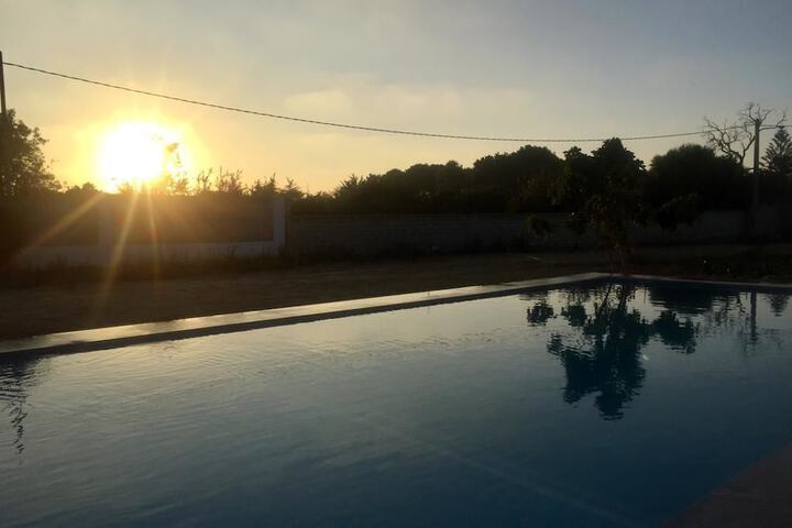 Pool 24 of 53