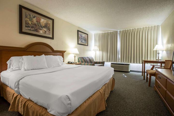 1 King Bed (8 of 12)