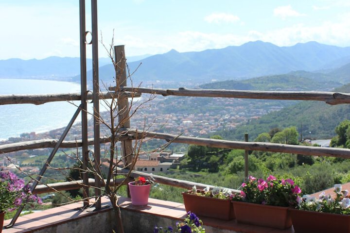 Terrace/Patio 42 of 52