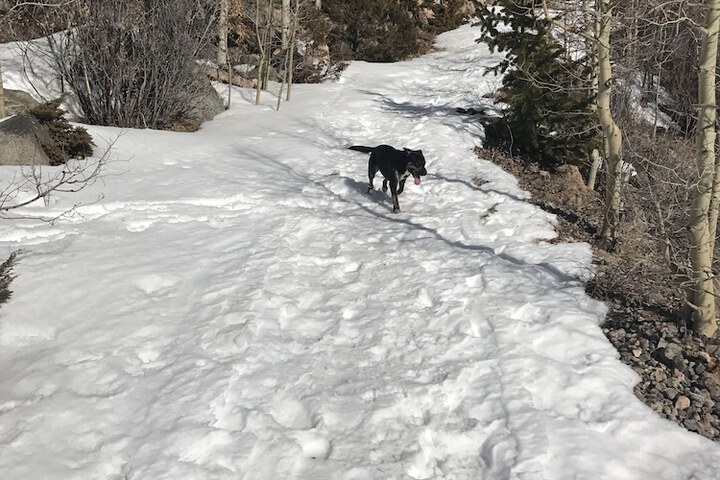 Outdoor Activities 40 of 79