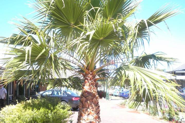 Property Grounds 14 of 25