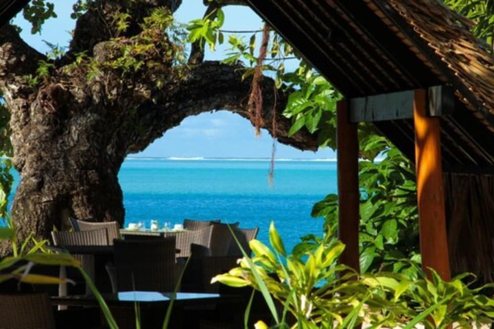 Dining Photos