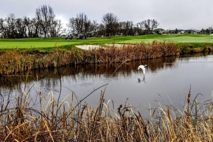 Golf 78 of 149