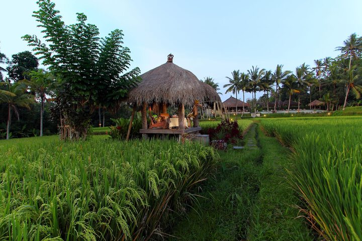 Hotel Exterior 42 of 53