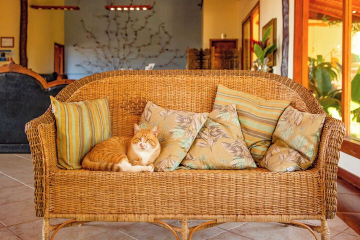 Pet Friendly 30 of 36