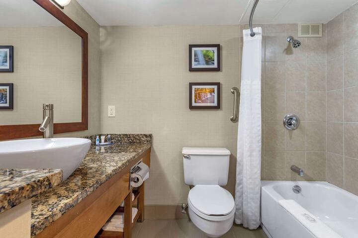 Suite Queen Bed (2 of 4)