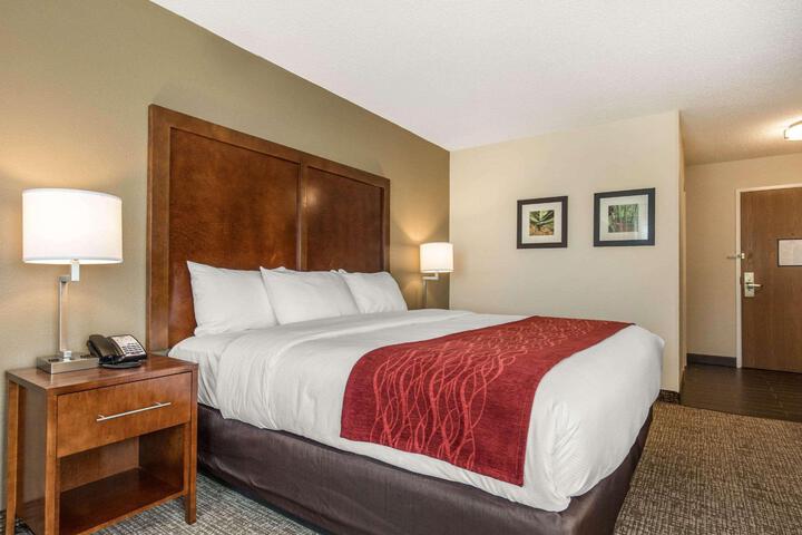 1 King Bed Accessible (5 of 27)