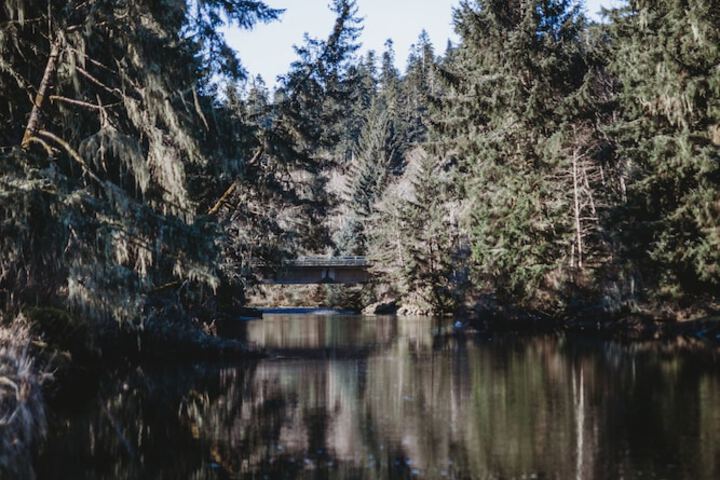 Property Grounds 23 of 26