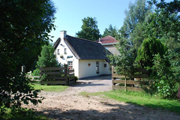 Vakantiehuis It koaihûs