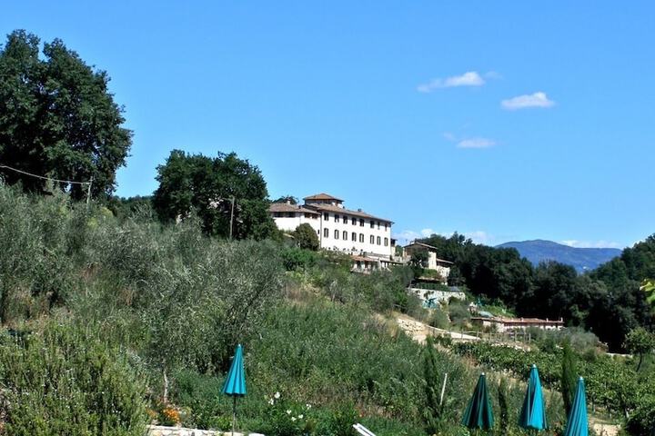 Hotel with Pool