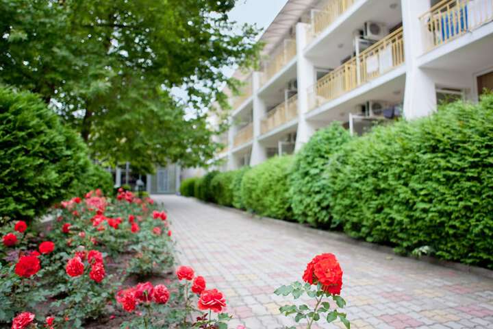Hotel Exterior 65 of 65
