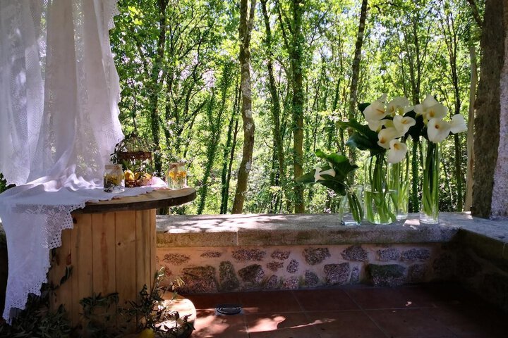 Wellness Treatments