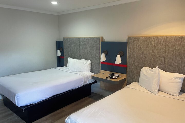 2 Queen Beds Microwave and Refrigerator Full Breakfast (11 of 15)