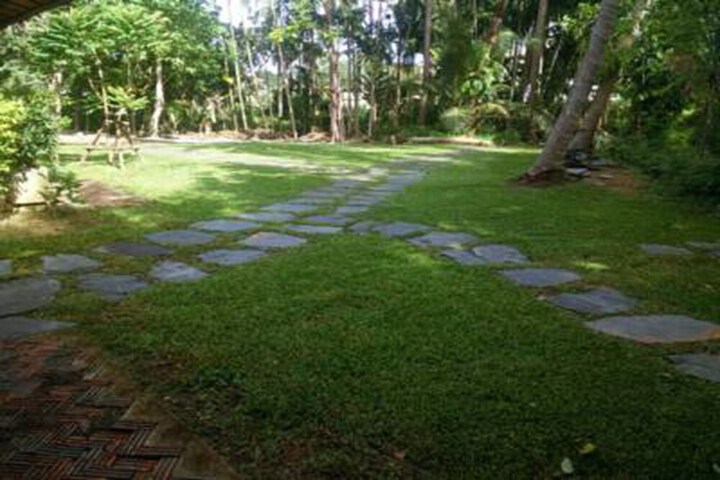 Property Grounds 36 of 51