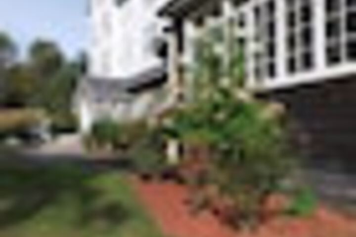 Property Grounds 239 of 246