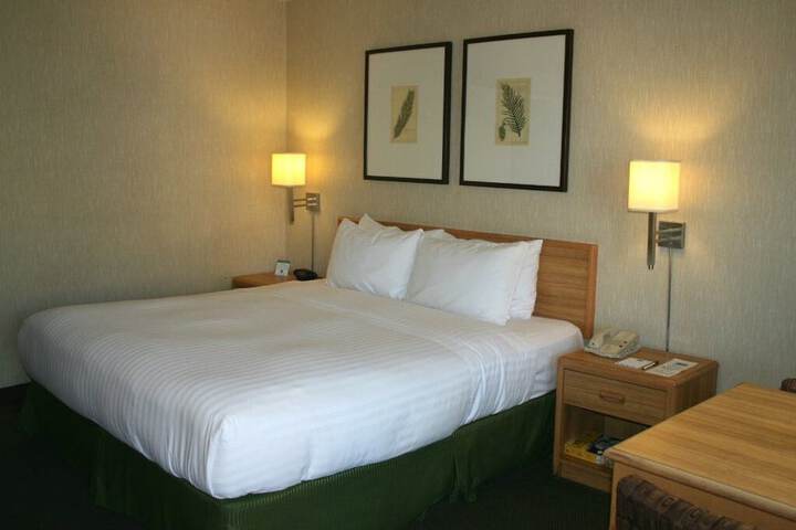 Room 14 of 31