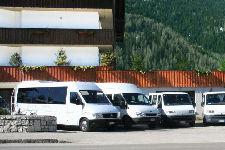 Cruise terminal shuttle