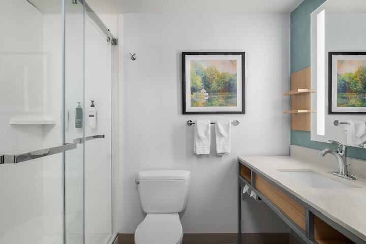 Bathroom shower