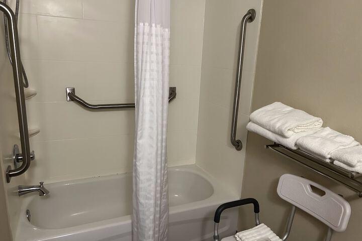 1 King Bed Suite (4 of 10)