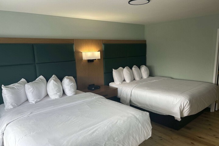 1 King Bed Hearing Accessible Suite Bathtub with Grab Bars (5 of 7)