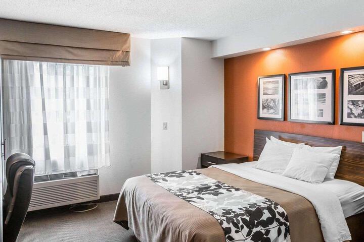 1 Queen Bed Accessible (1 of 4)