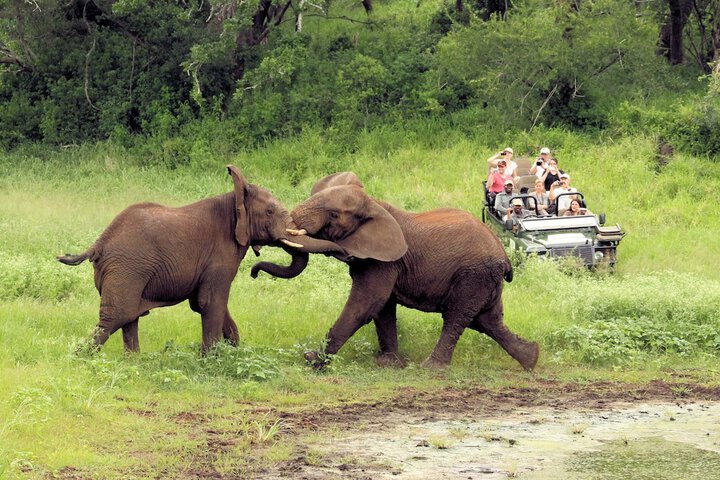 Game drive