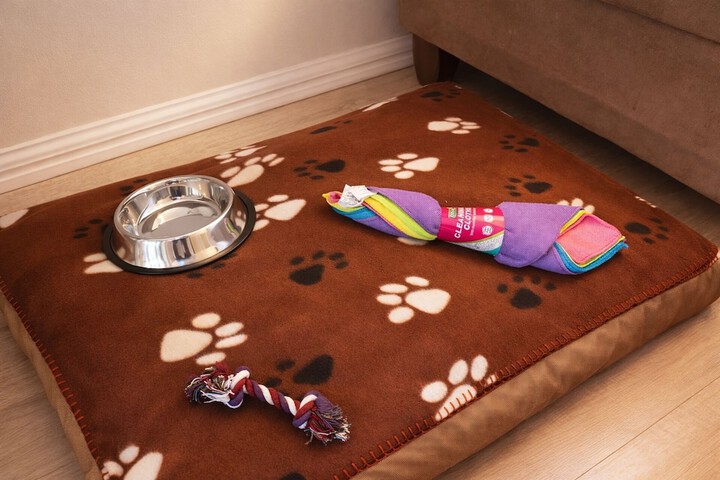 Pet Friendly 147 of 204