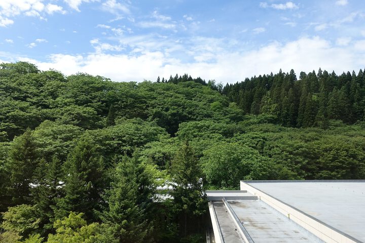 View from room